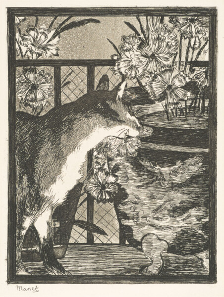 Le Chat et les Fleurs