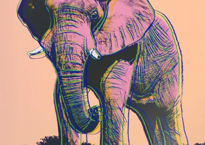African Elephant