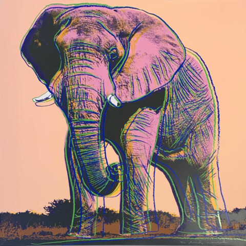 African Elephant
