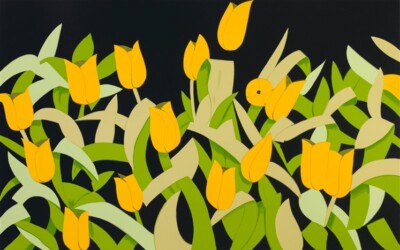 Yellow Tulips