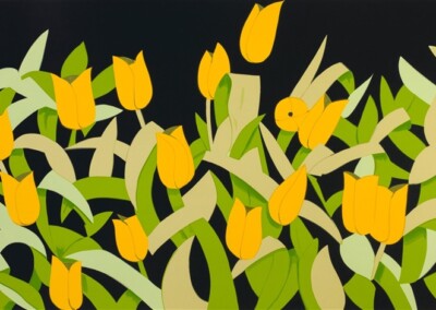Yellow Tulips