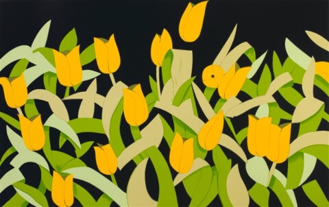 Yellow Tulips