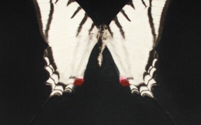 Spirit Icon