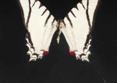 Spirit Icon