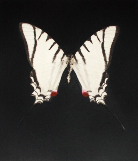 Spirit Icon