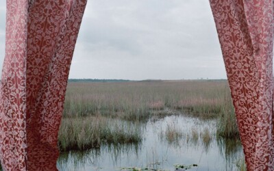 Marjory’s World Untitled_5