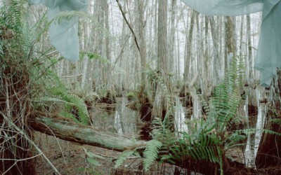 Marjory’s World Untitled_3