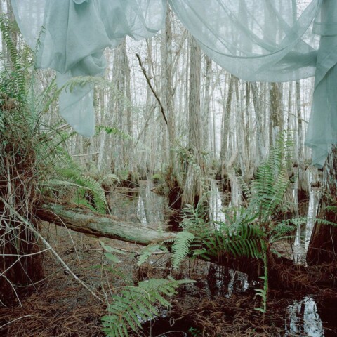 Marjory’s World Untitled_3