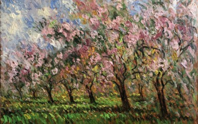 Cherry Blossom