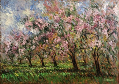 Cherry Blossom