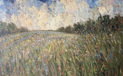 Lupins Laval