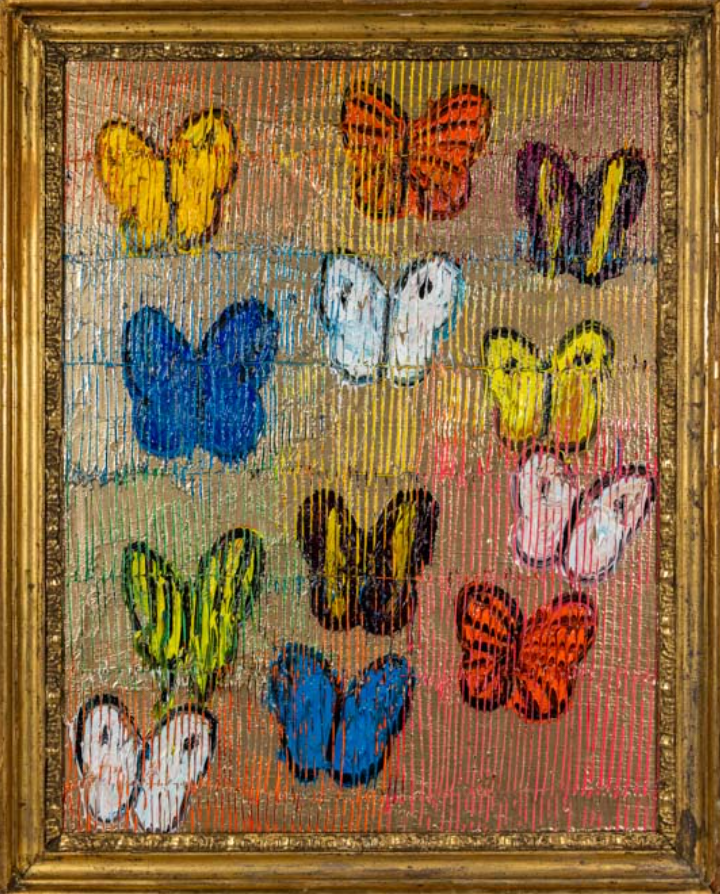A framed display of colorful butterfly specimens.