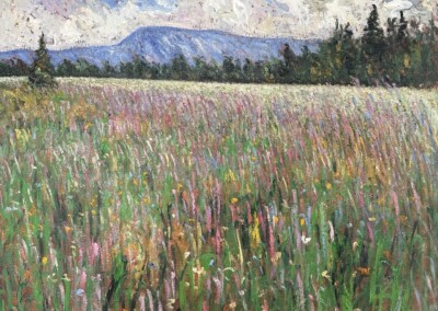 Champole Lupins, Mont Ste Anne Huile Sur Toile