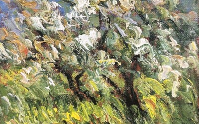 White Tree, Apples Orchards Study