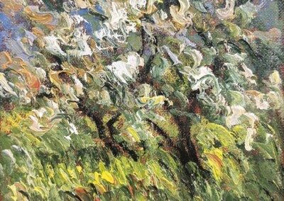 White Tree, Apples Orchards Study
