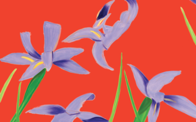 Purple Irises on Red