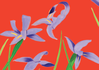 Purple Irises on Red