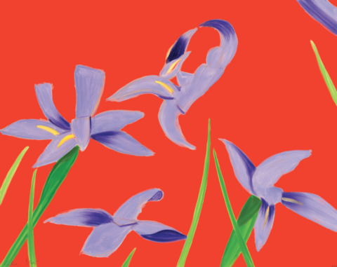 Purple Irises on Red