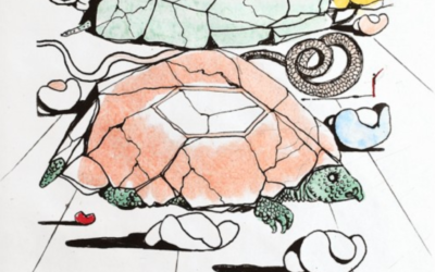 The Turtle Mountains