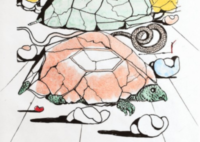 The Turtle Mountains