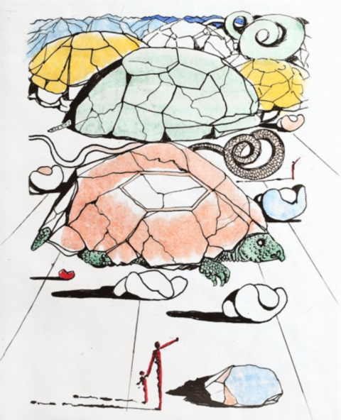The Turtle Mountains
