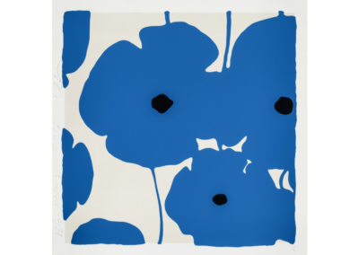 Blue Poppies