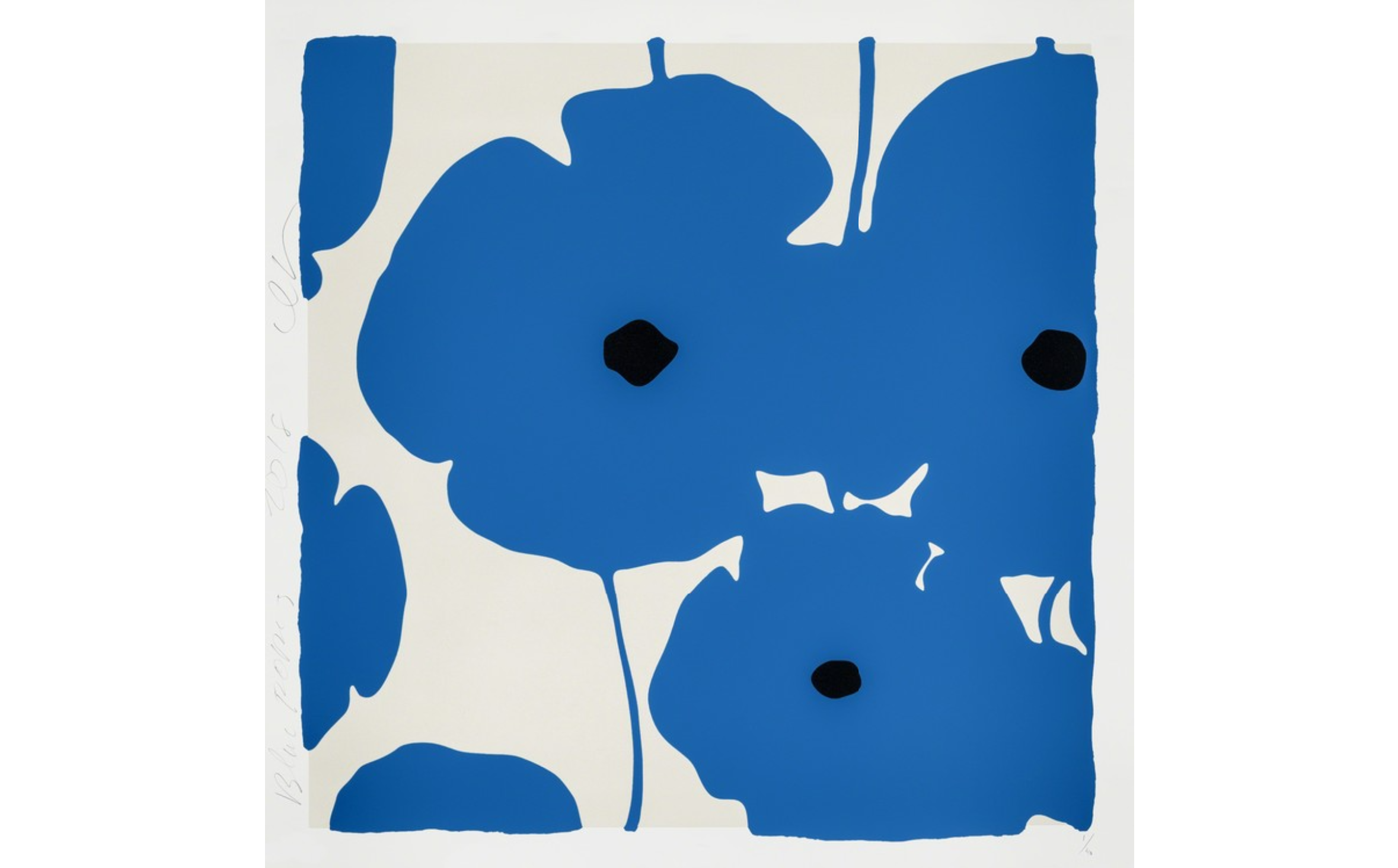 Blue poppy flowers with a black center on a light background. Blue poppy flowers with a black center on a light background.