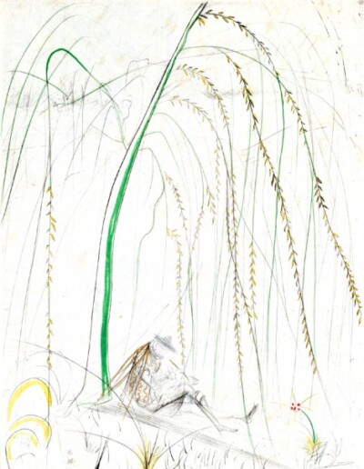 Weeping Willow