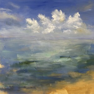 Captiva Skies