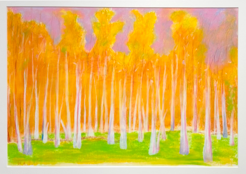 A vibrant autumn forest with orange and yellow leaves on white tree trunks.